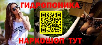 дмт Новодвинск