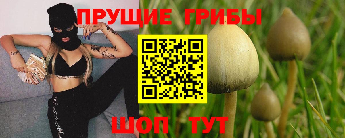 Галлюциногенные грибы ЛСД Черняховск